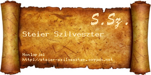 Steier Szilveszter névjegykártya